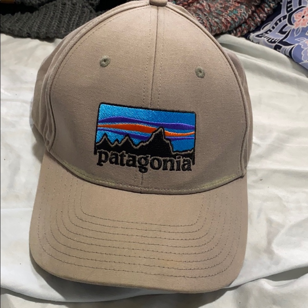 patagonia hat
